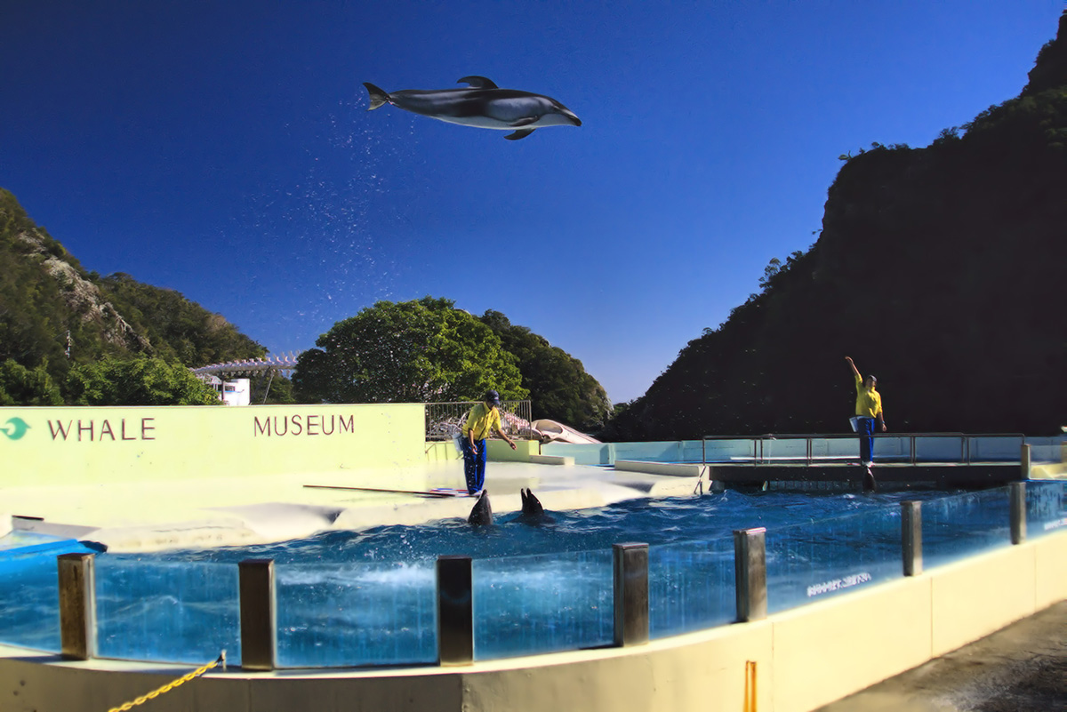 太地町立くじらの博物館