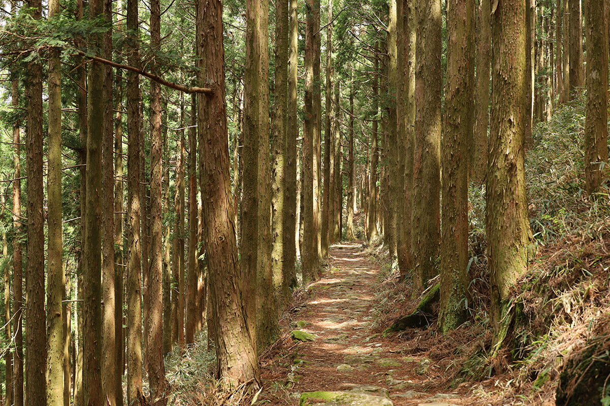 ＪＲきのくに線ＪＲ紀伊勝浦駅周辺の観光写真