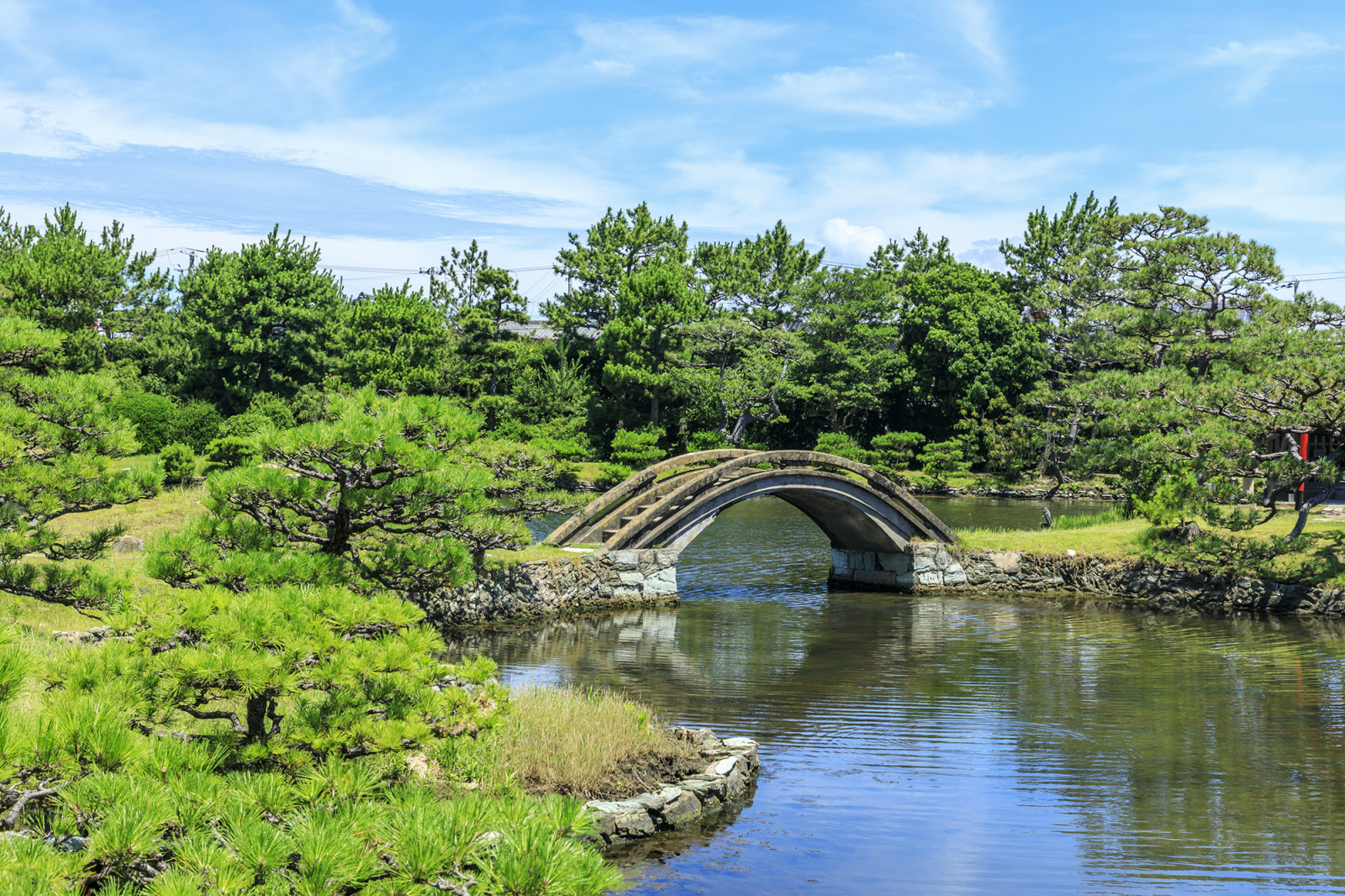 JRきのくに線JR和歌山駅周辺の観光写真